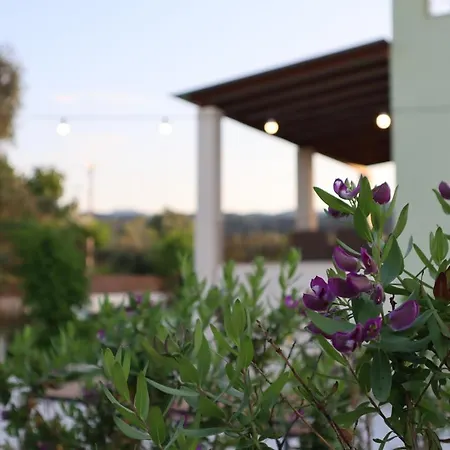 Villa Vicula Mauras Lefkáda