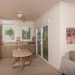 Vicula Mauras